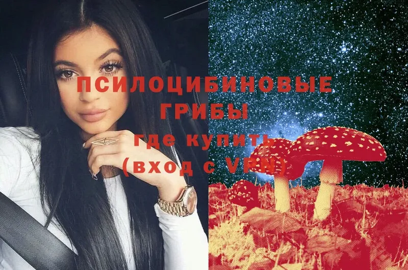 shop телеграм  Вольск  Галлюциногенные грибы Psilocybe  закладки 